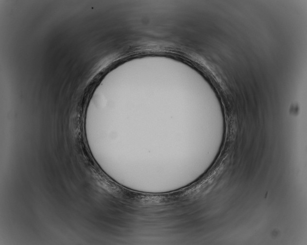 X0000099951211200806201305