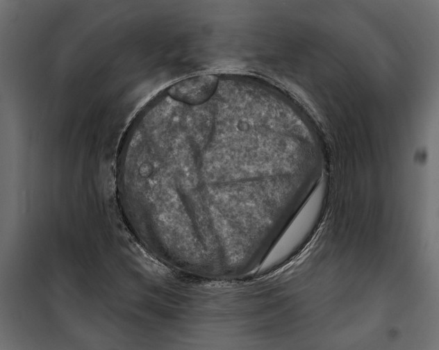 X0000099951212200806201305