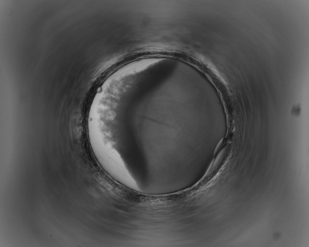 X0000099951213200806201305