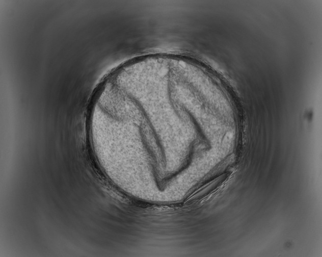 X0000099951214200806201305