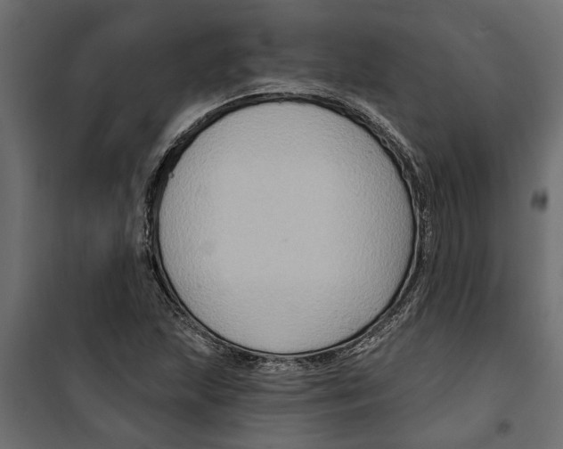 X0000099951215200806201305