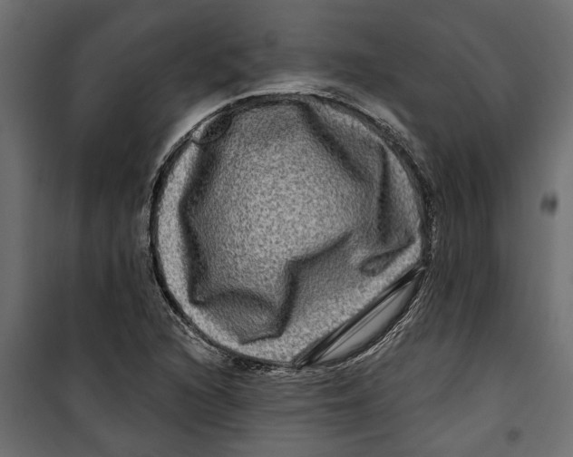 X0000099951216200806201305
