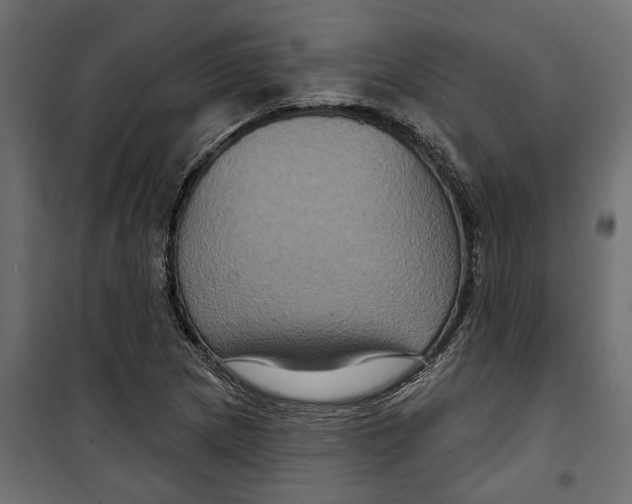 X0000099951217200806201305