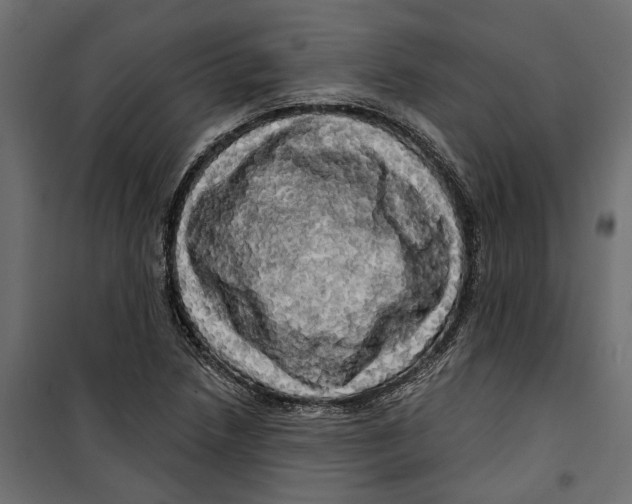 X0000099951218200806201305