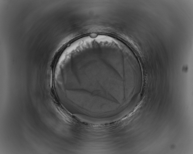 X0000099951219200806201305