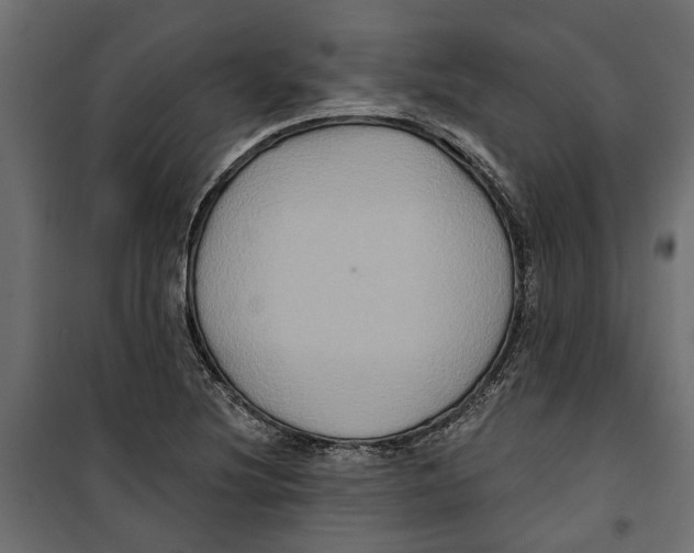 X0000099951220200806201305