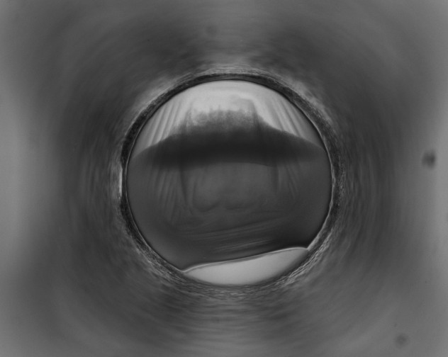 X0000099951221200806201305