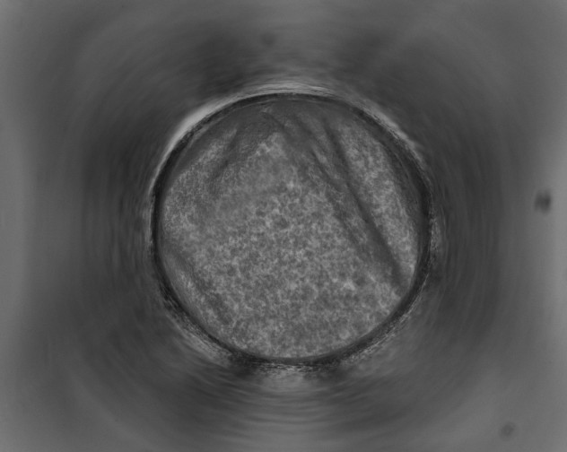 X0000099951222200806201305