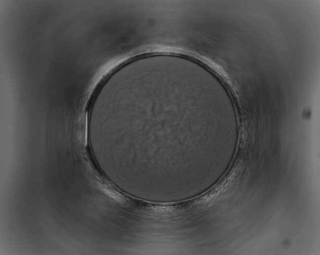X0000099951223200806201305