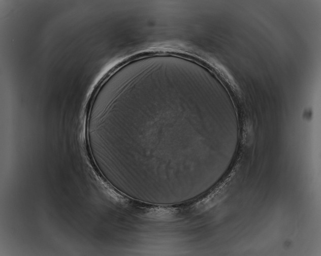 X0000099951224200806201305