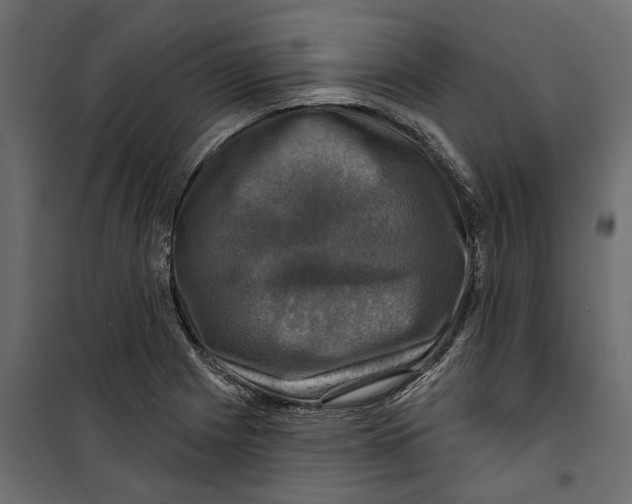 X0000099951225200806201305
