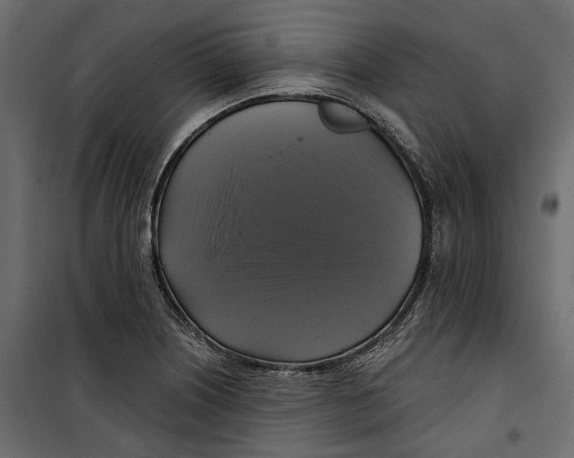 X0000099951226200806201305