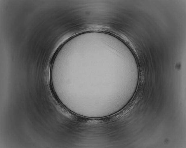 X0000099951227200806201305