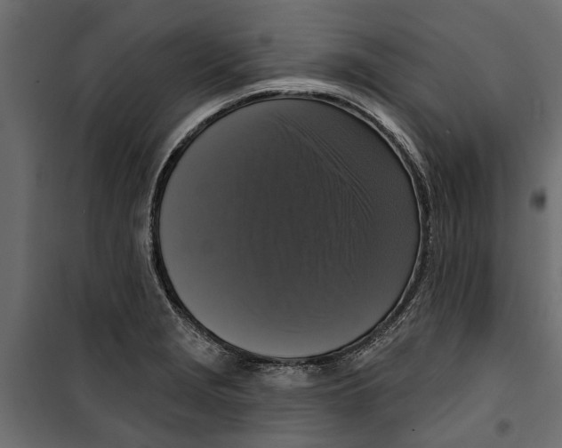 X0000099951229200806201305
