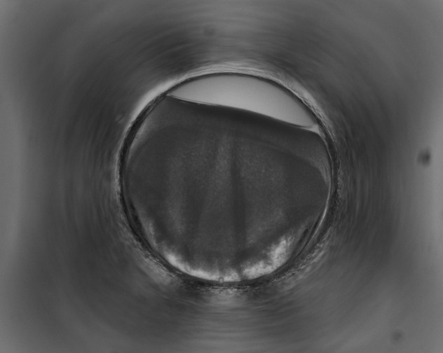 X0000099951230200806201305