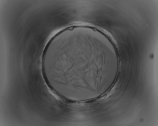 X0000099951231200806201305