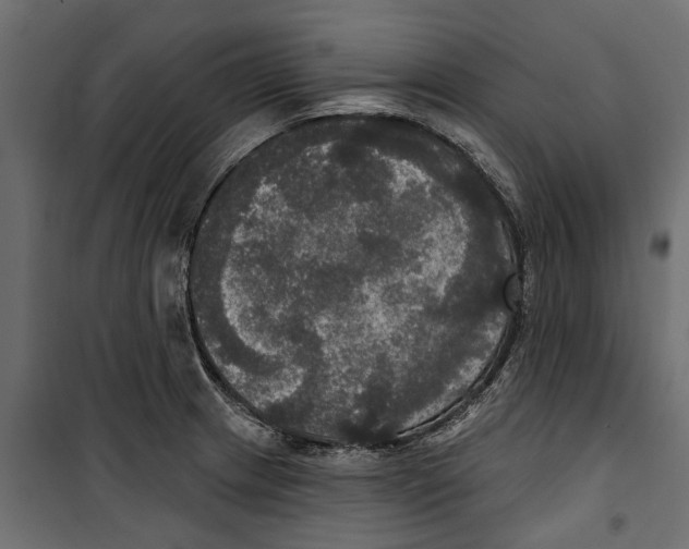 X0000099951233200806201305