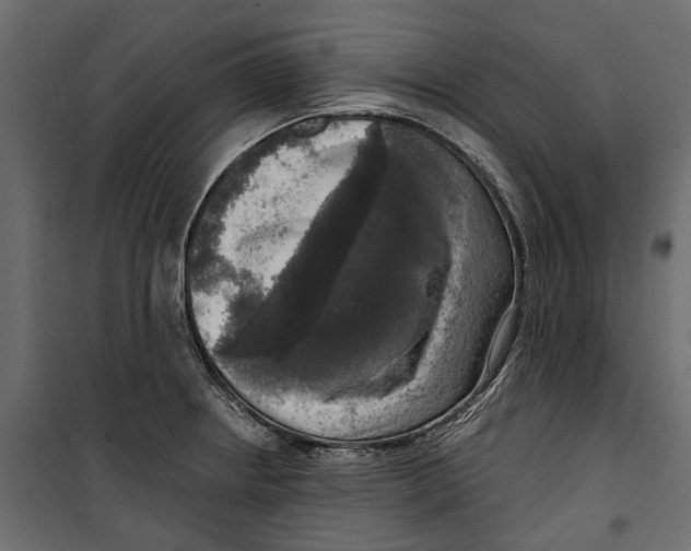 X0000099951234200806201305