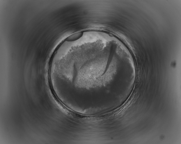 X0000099951235200806201305
