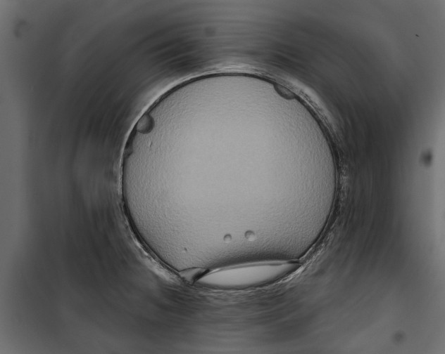 X0000099951236200806201305