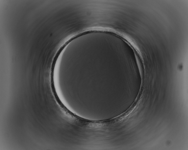 X0000099951237200806201305