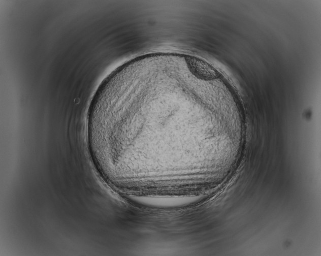 X0000099951238200806201305