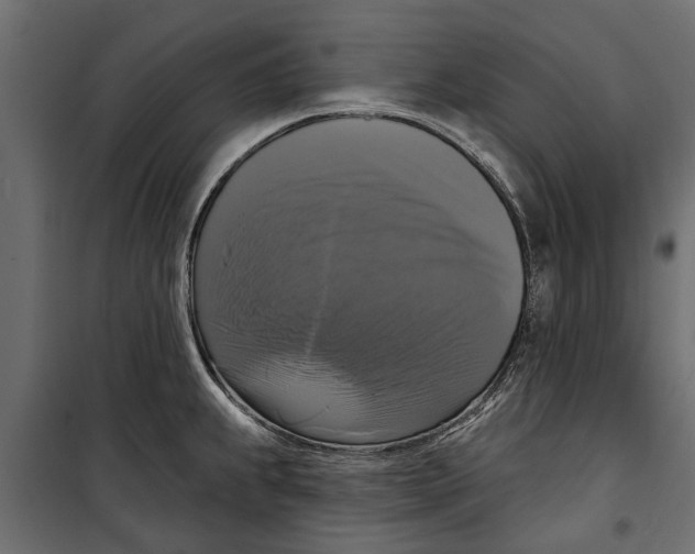 X0000099951239200806201305
