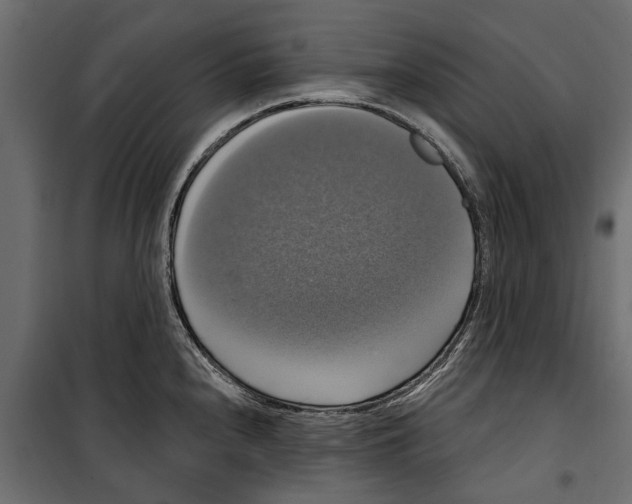 X0000099951240200806201305
