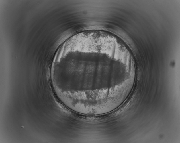 X0000099951241200806201305