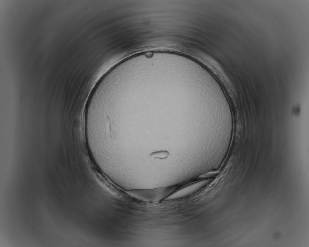 X0000099951242200806201305