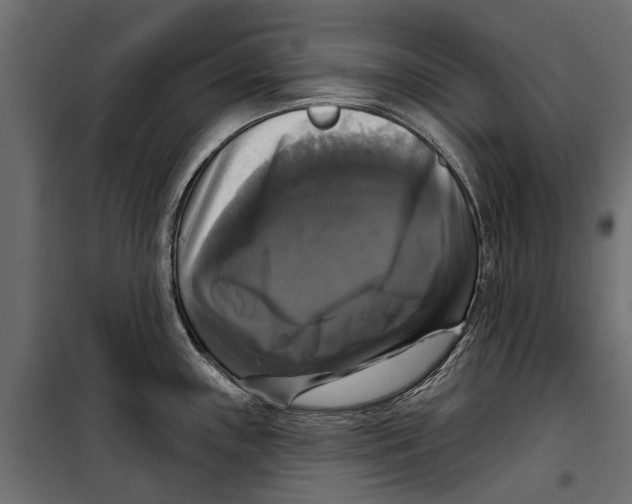 X0000099951243200806201305