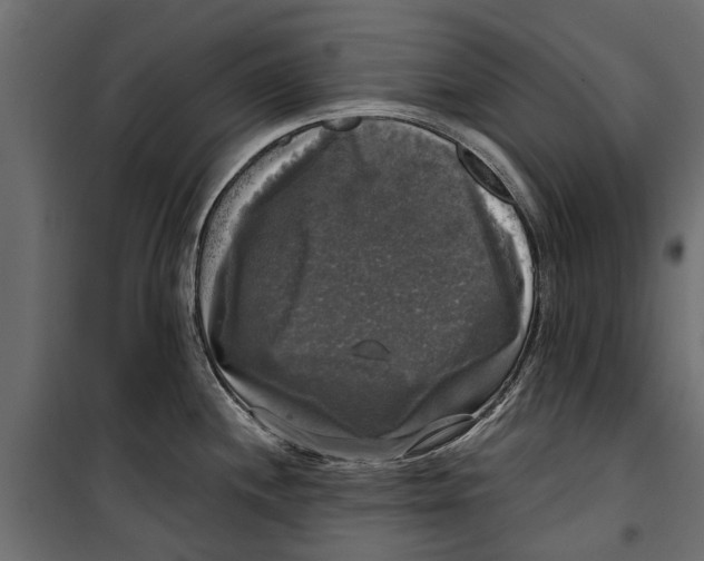 X0000099951244200806201305