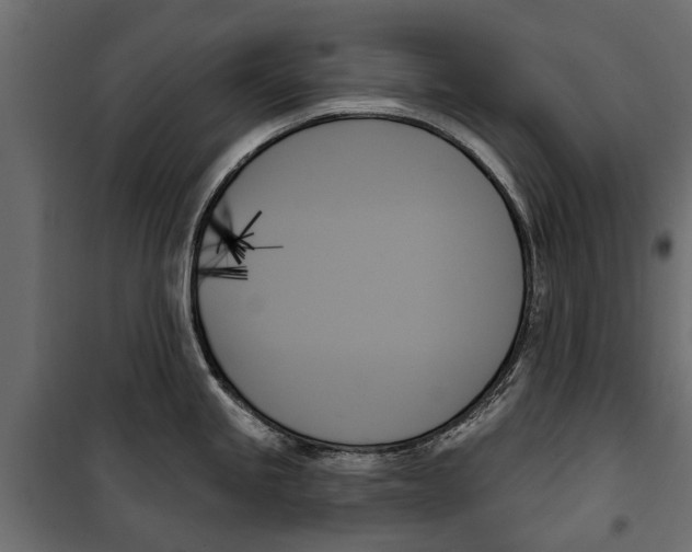 X0000099951245200806201305