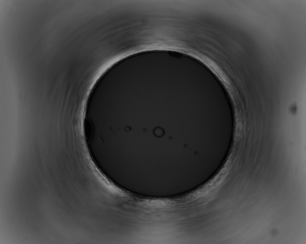 X0000099951246200806201305