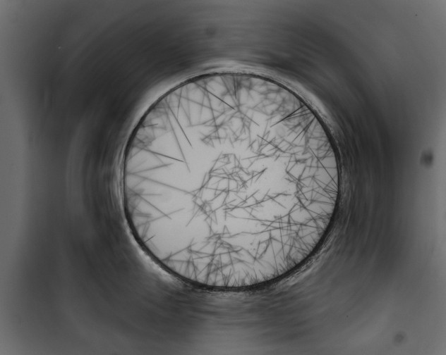 X0000099951247200806201306
