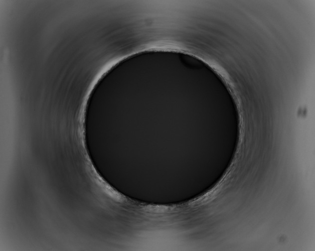 X0000099951248200806201306