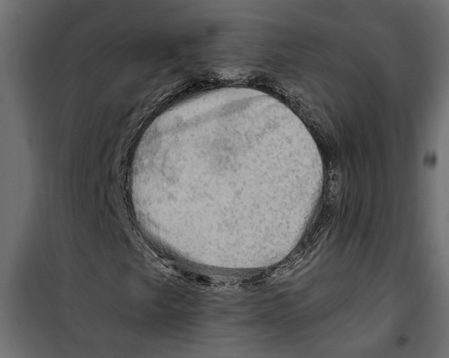 X0000099951249200806201305