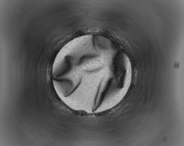 X0000099951250200806201305