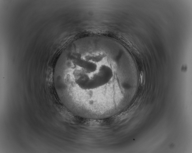 X0000099951251200806201305