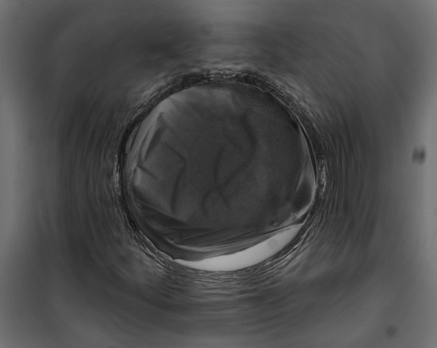 X0000099951252200806201305