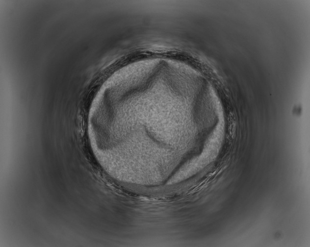 X0000099951253200806201305