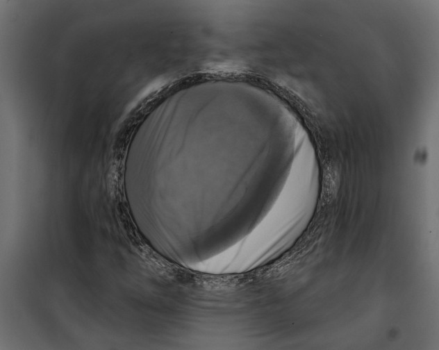 X0000099951254200806201305