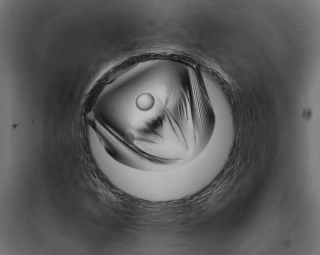 X0000099951256200806201305