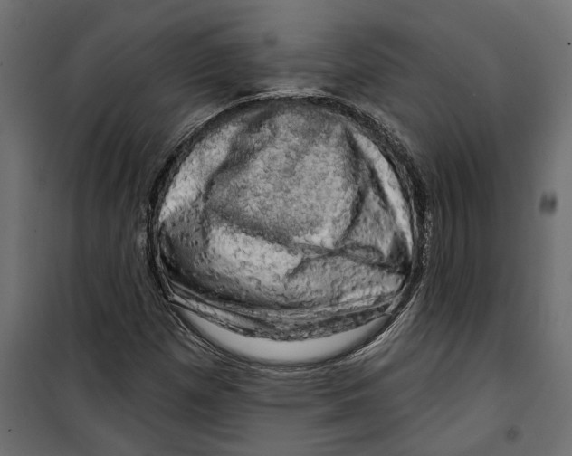 X0000099951257200806201305