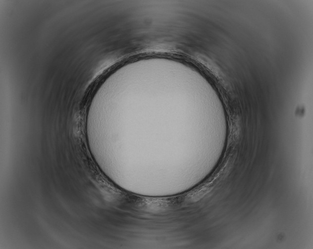X0000099951258200806201305