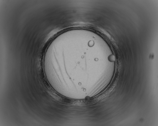 X0000099951259200806201305