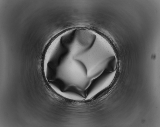 X0000099951260200806201305