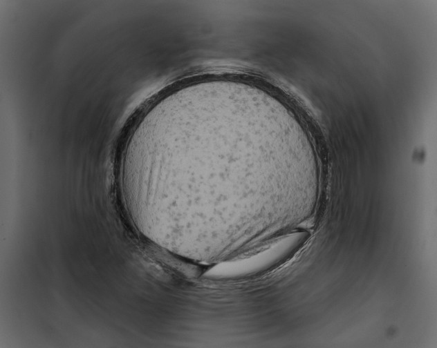 X0000099951261200806201305