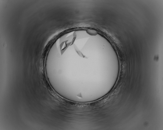 X0000099951262200806201305