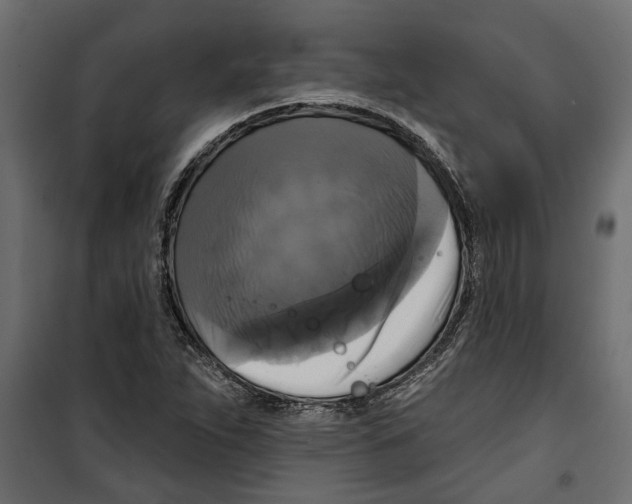 X0000099951263200806201305